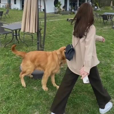 搜索者