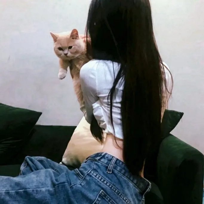 复仇者集结第四季